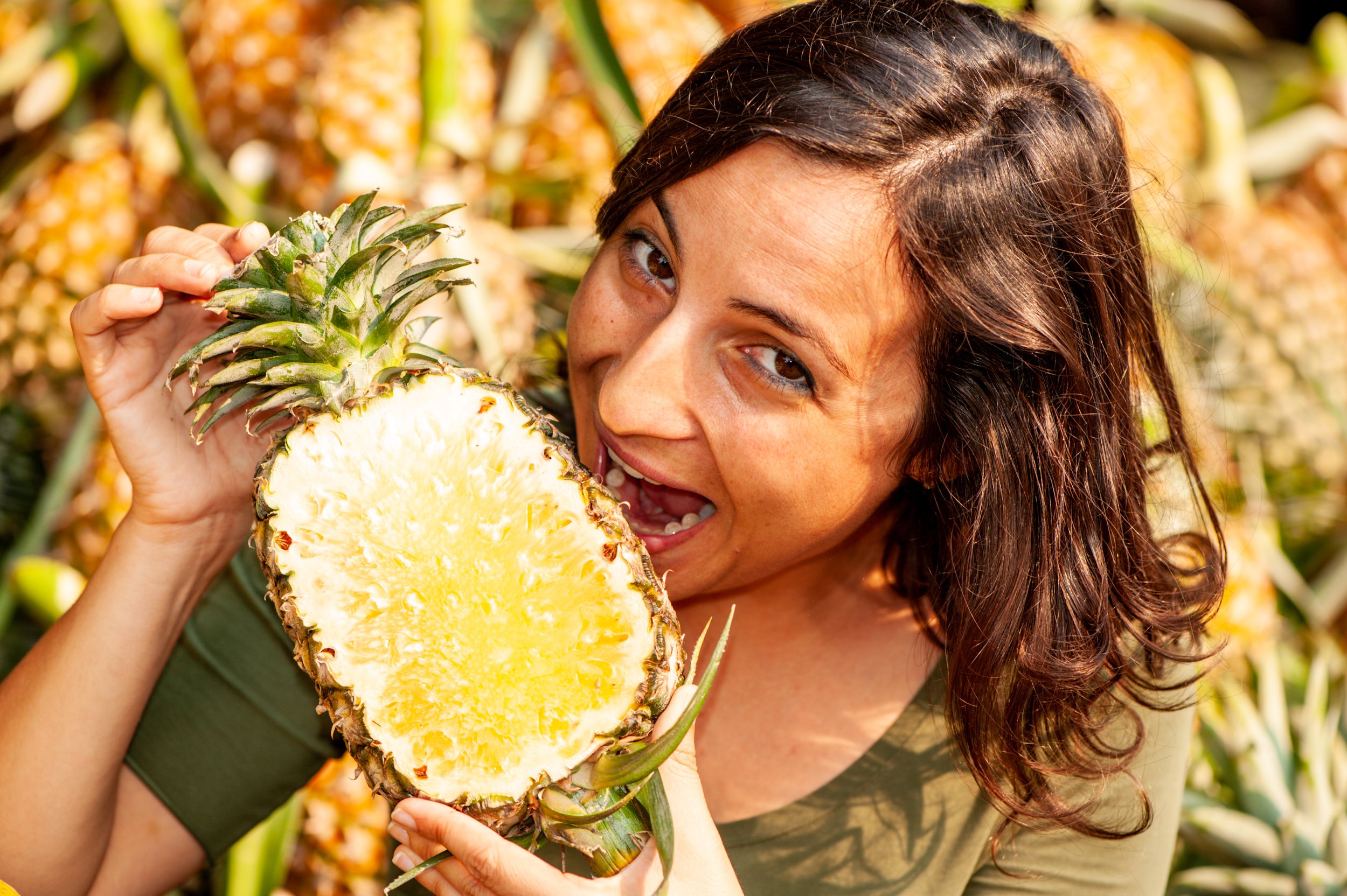 Pineapple Bite for an introvert photographer